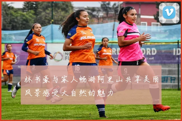 林书豪与家人畅游阿里山共享美丽风景感受大自然的魅力
