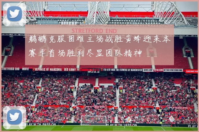 鹈鹕克服困难主场战胜黄蜂迎来本赛季首场胜利尽显团队精神