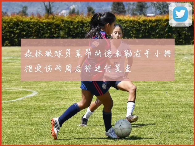 森林狼球员莱昂纳德米勒右手小拇指受伤两周后将进行复查